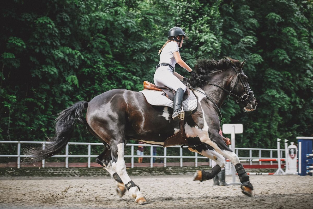 Mädchen reitet auf pferd