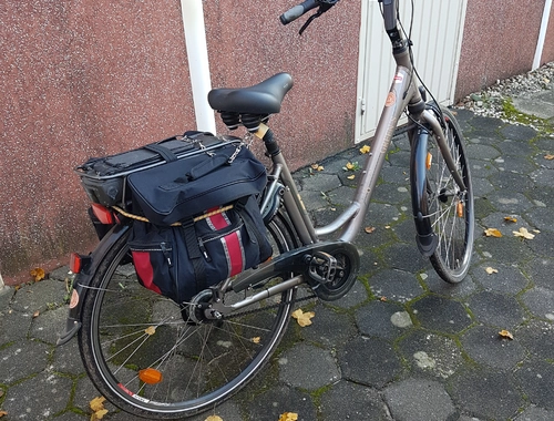 Pedelec E-Bike