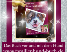 Weihnachtsgeschenk 2022: Das Buch vor und mit dem Welpen/Hund