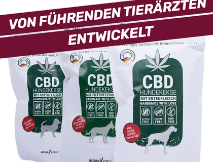 CBD HUNDEKEKSE VON HUNDEN BEVORZUGT