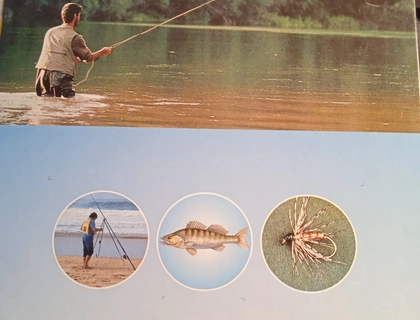 Sammel Anleitung für Angler, oder die es noch werden wollen