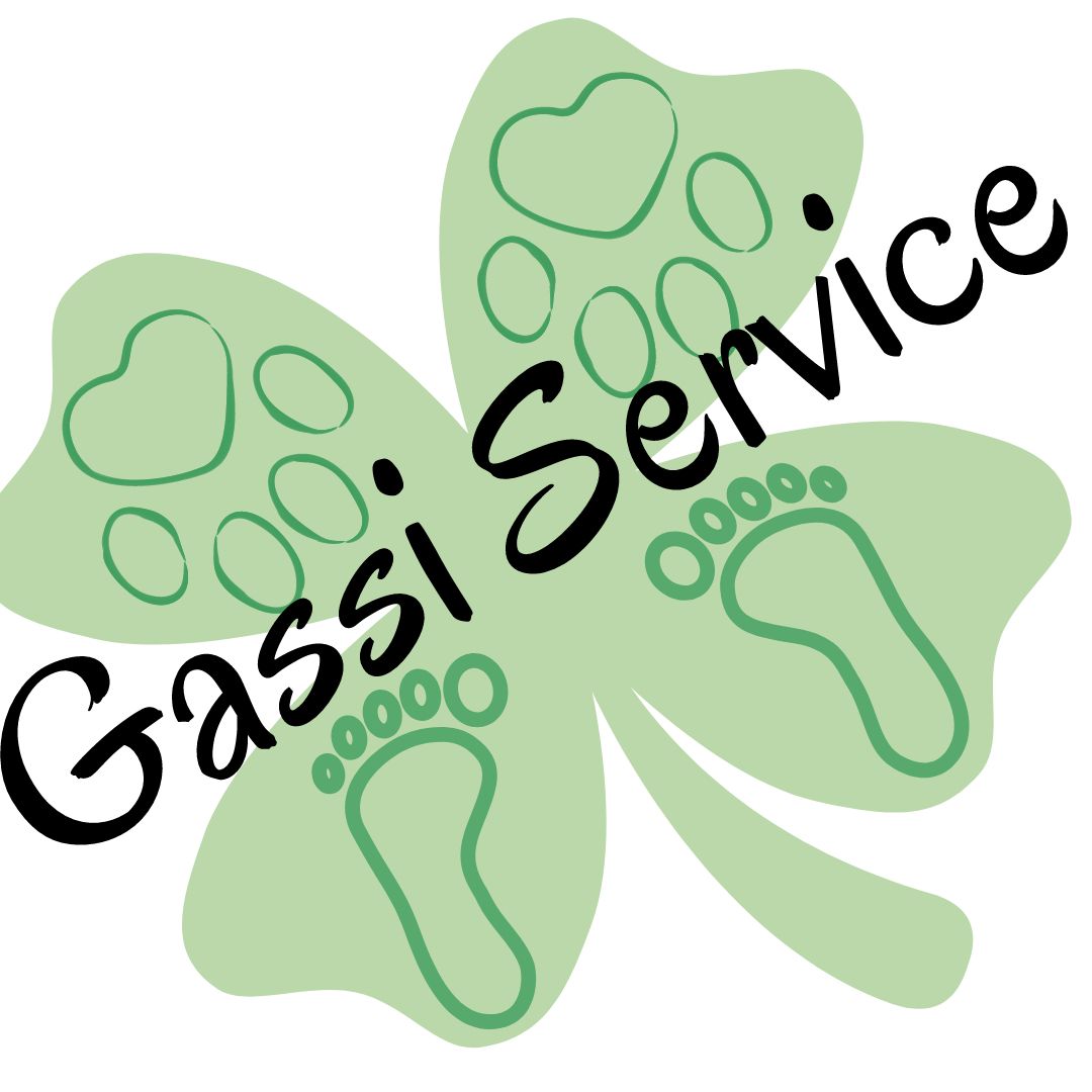 Flexibler, sportlicher,  einfühlsamer Hunde Gassi Service