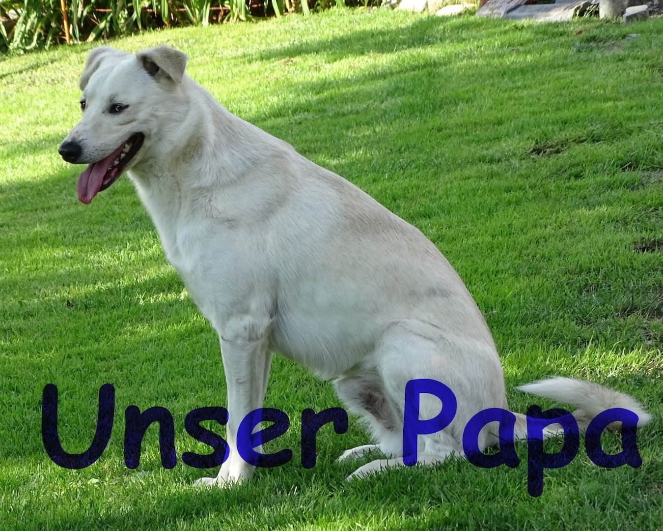 3 Zwergerl suchen ein Körbchen bei Dir! Ja, genau bei Dir !