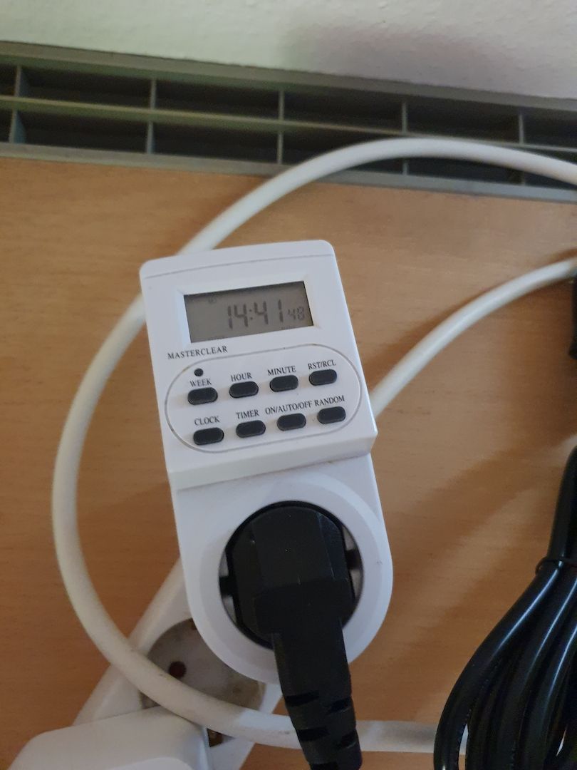 Phelsuma Klemmeri Taggeck mit Terrarium und Technik Phelsuma Klemmeri Taggeck mit Terrarium und Technik