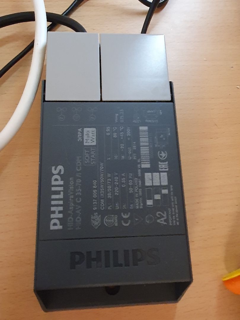 Phelsuma Klemmeri Taggeck mit Terrarium und Technik Phelsuma Klemmeri Taggeck mit Terrarium und Technik