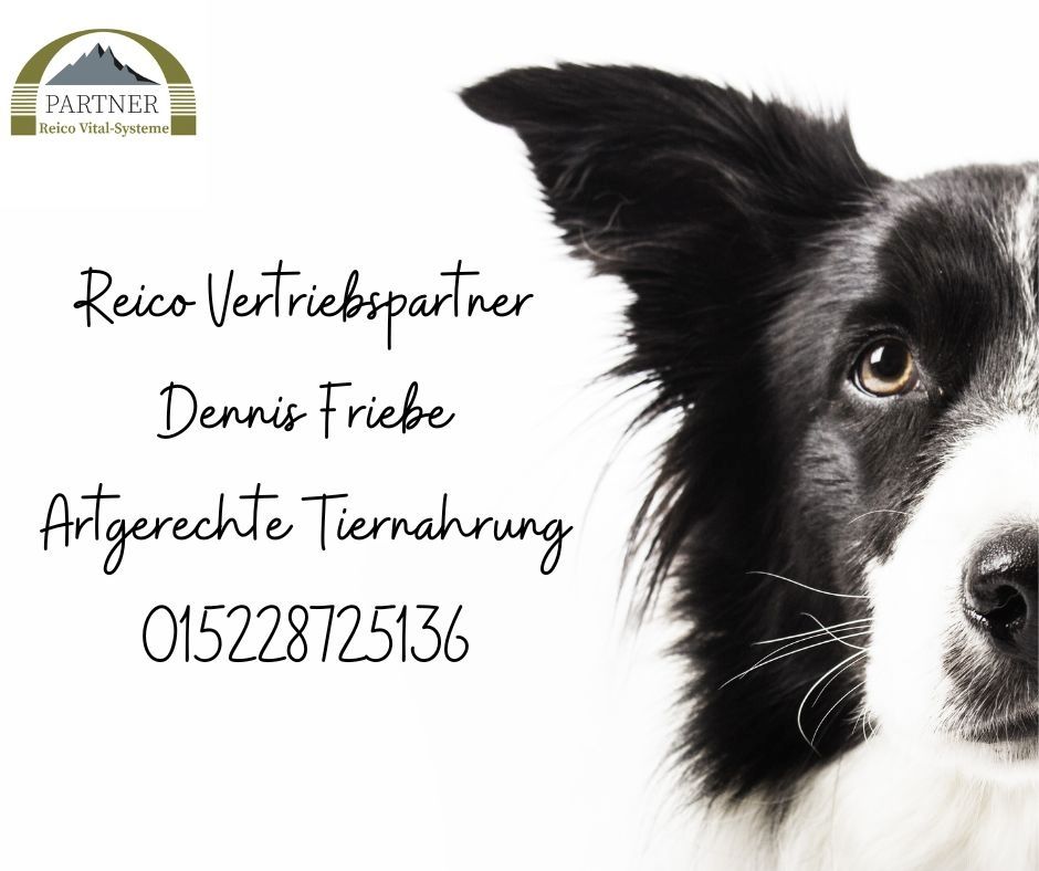 Reico Kostenlose Futterberatung