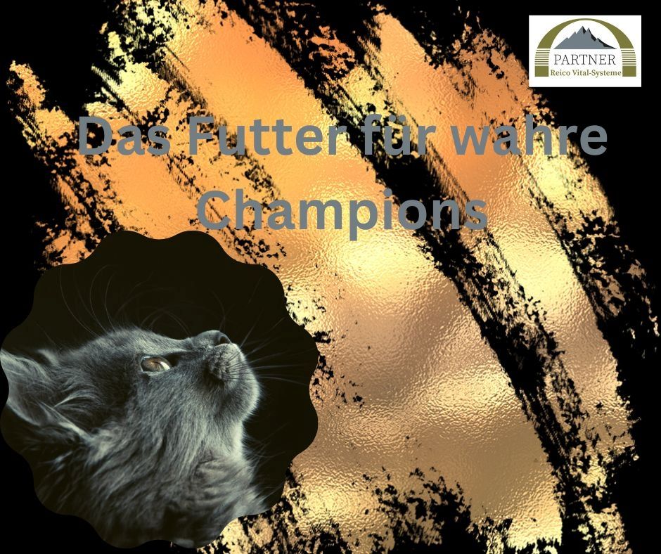 Reico Kostenlose Futterberatung