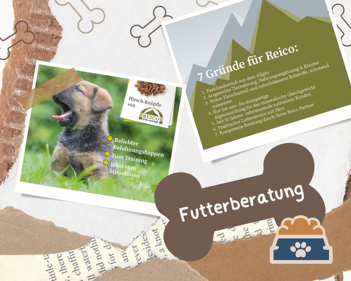 Reico Kostenlose Beratung