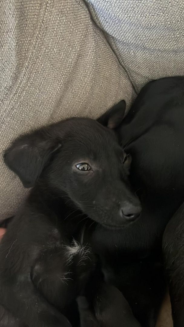 Kleiner Mann - großes Herz