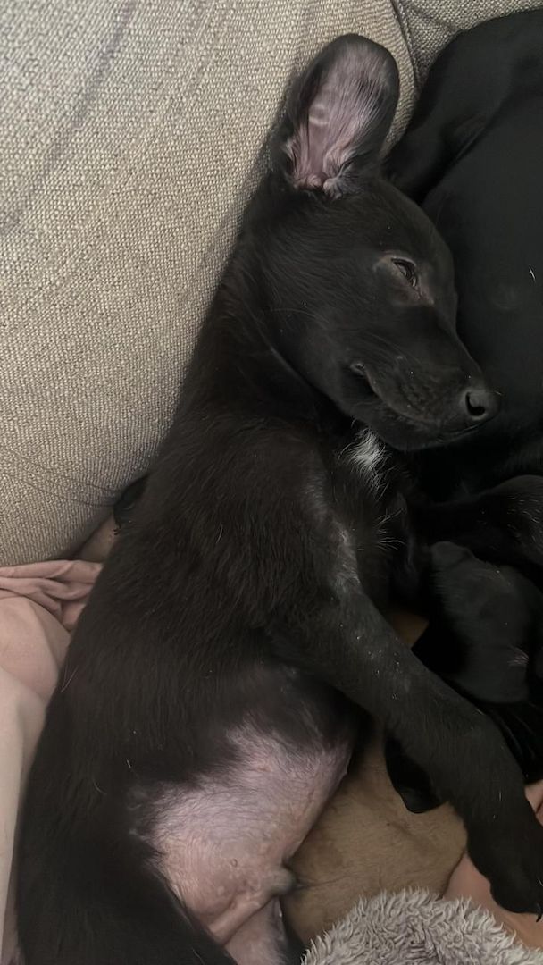 Kleiner Mann - großes Herz