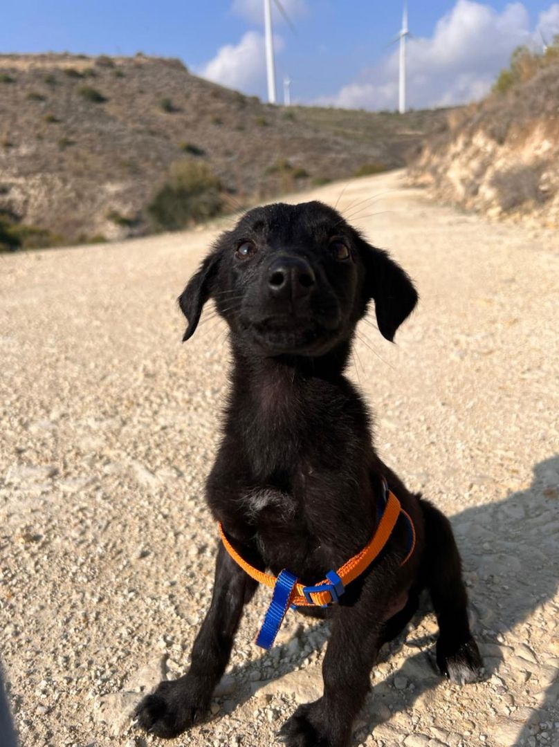 Kleiner Mann - großes Herz