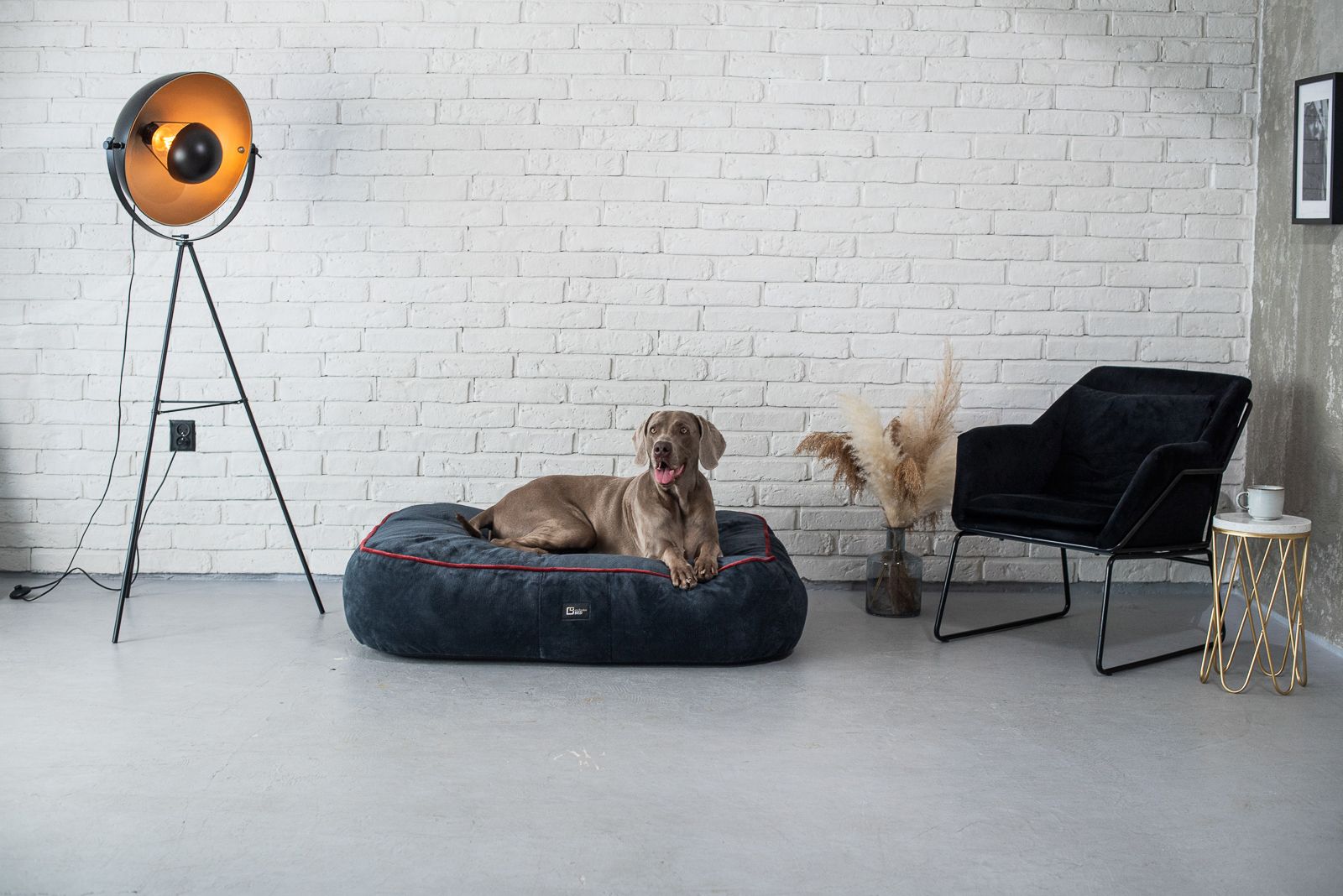 Sky Anti-Stress-Hundebett für große Kunde aus Sorriso-Stoff