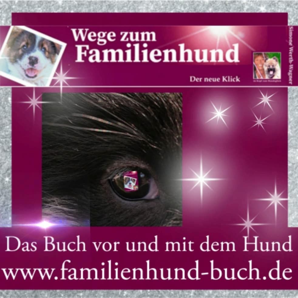 Buch Welpe, Hund, Mischling, Rasse