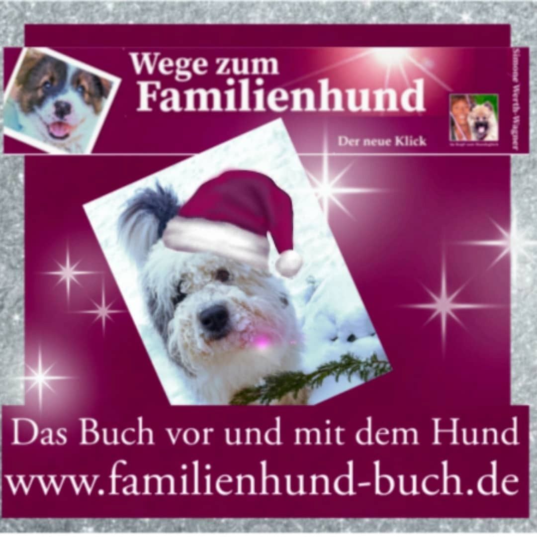 Buch Welpe, Hund, Mischling, Rasse