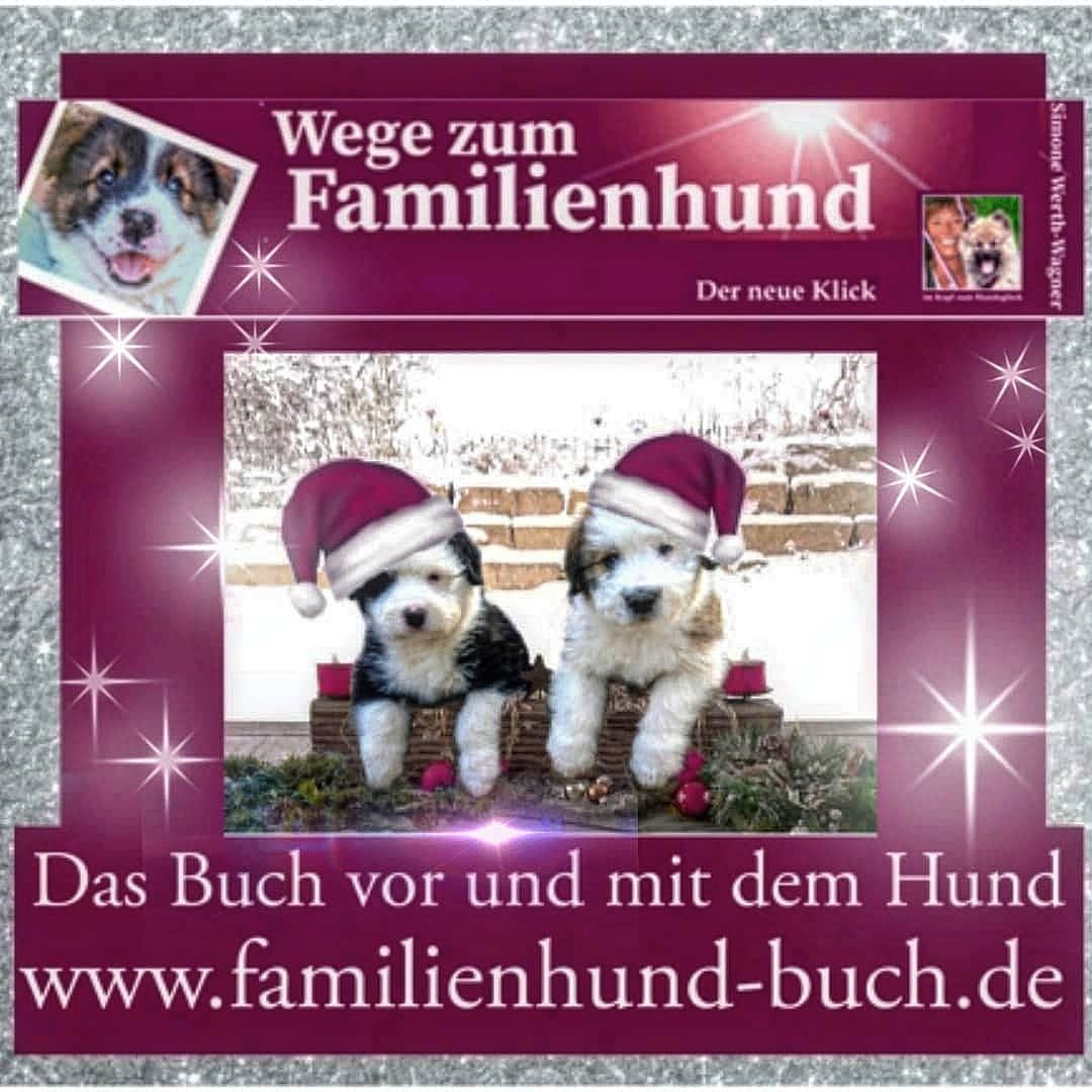 Buch Welpe, Hund, Mischling, Rasse