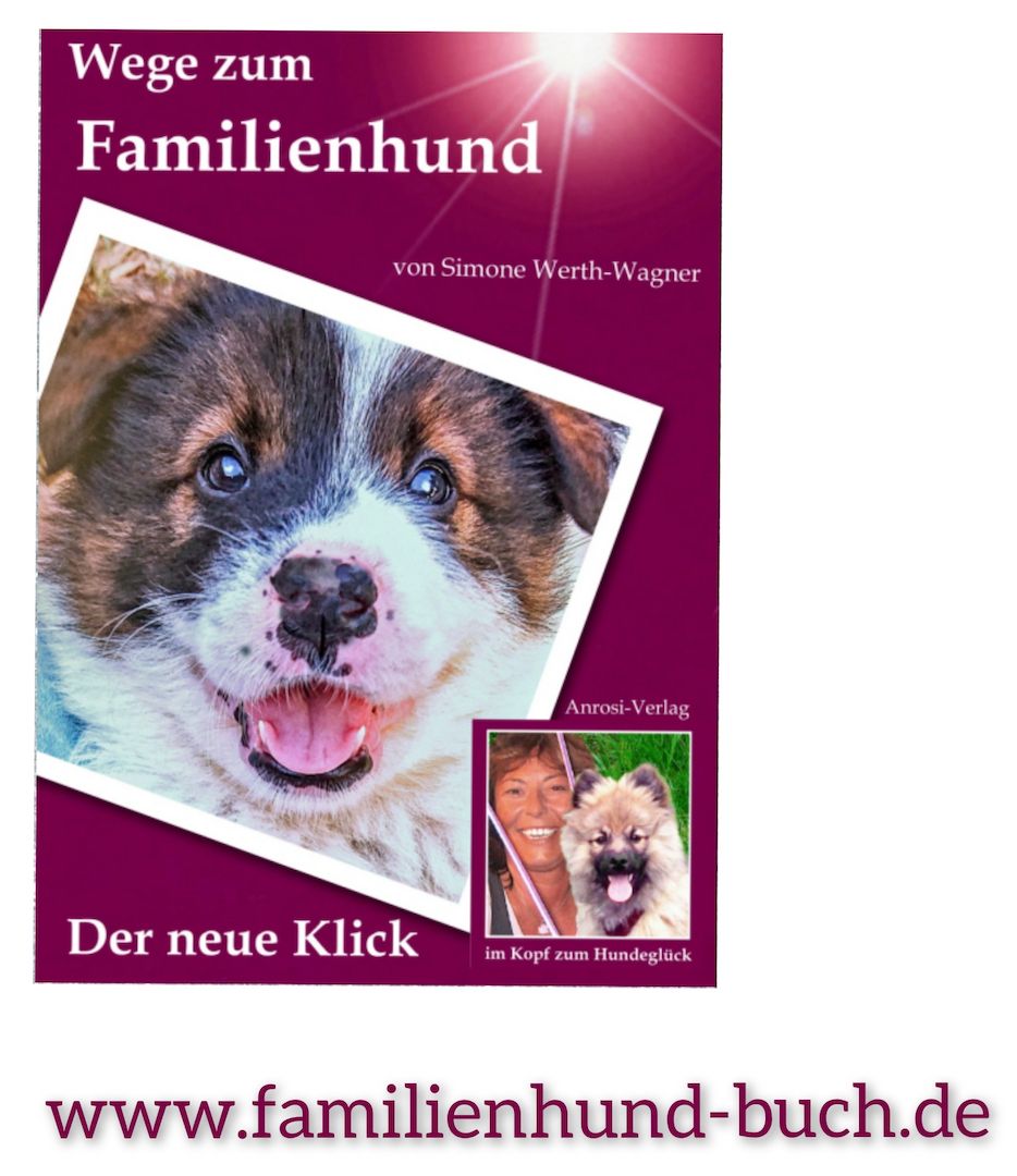 Buch Welpe, Hund, Mischling, Rasse