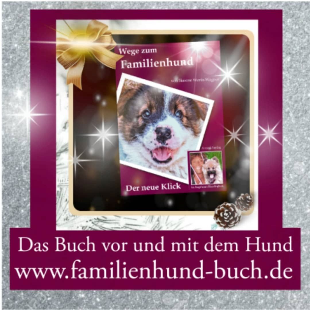 Buch Welpe, Hund, Mischling, Rasse