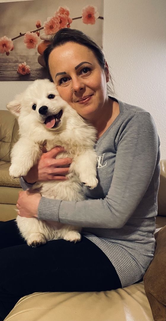 Spitz Welpen 16Wochen