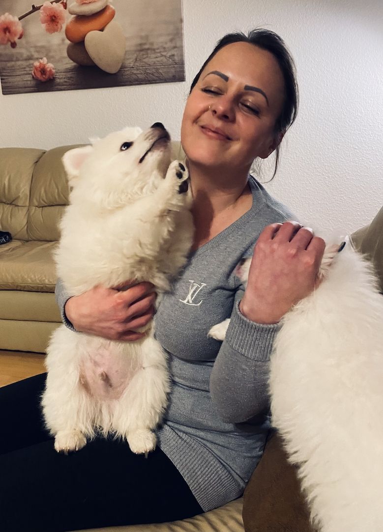 Spitz Welpen 16Wochen