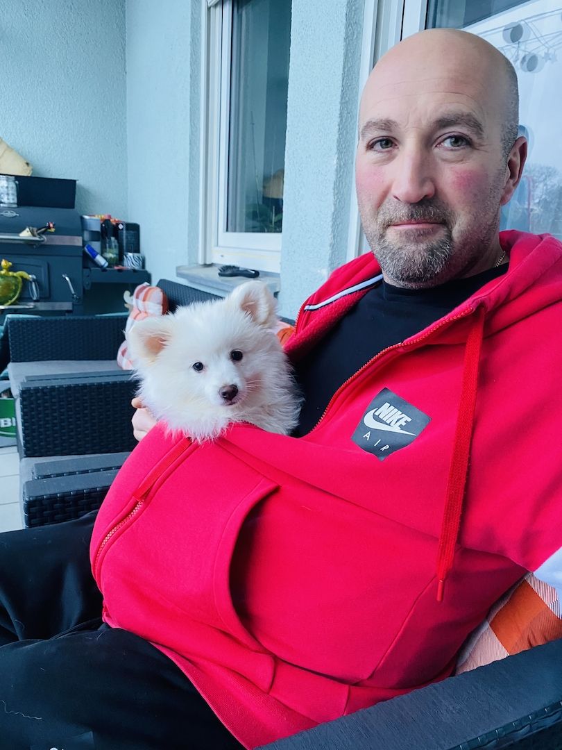 Spitz Welpen 16Wochen