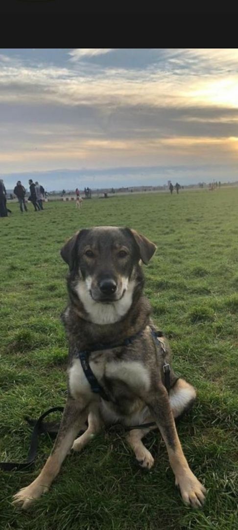 Die wunderschöne Lazarica möchte glücklich sein