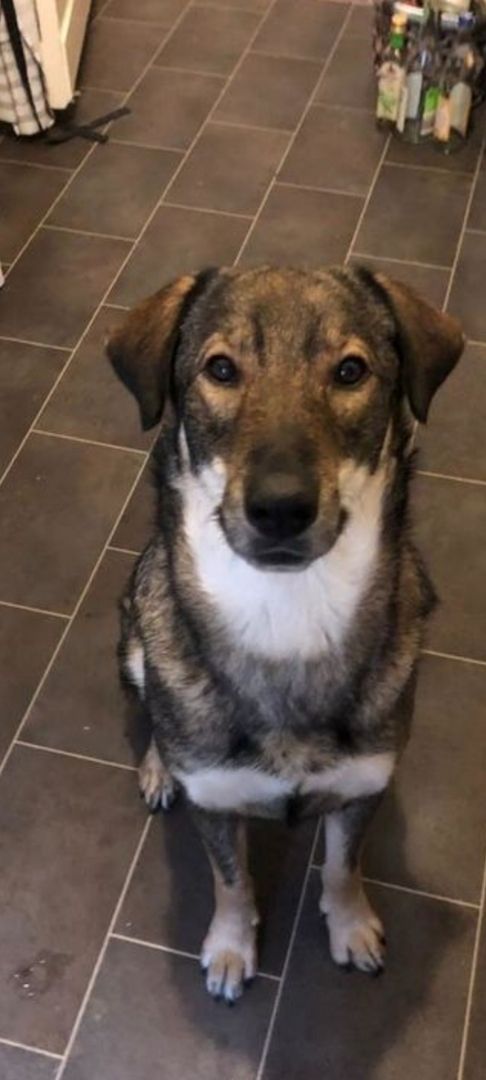 Die wunderschöne Lazarica möchte glücklich sein