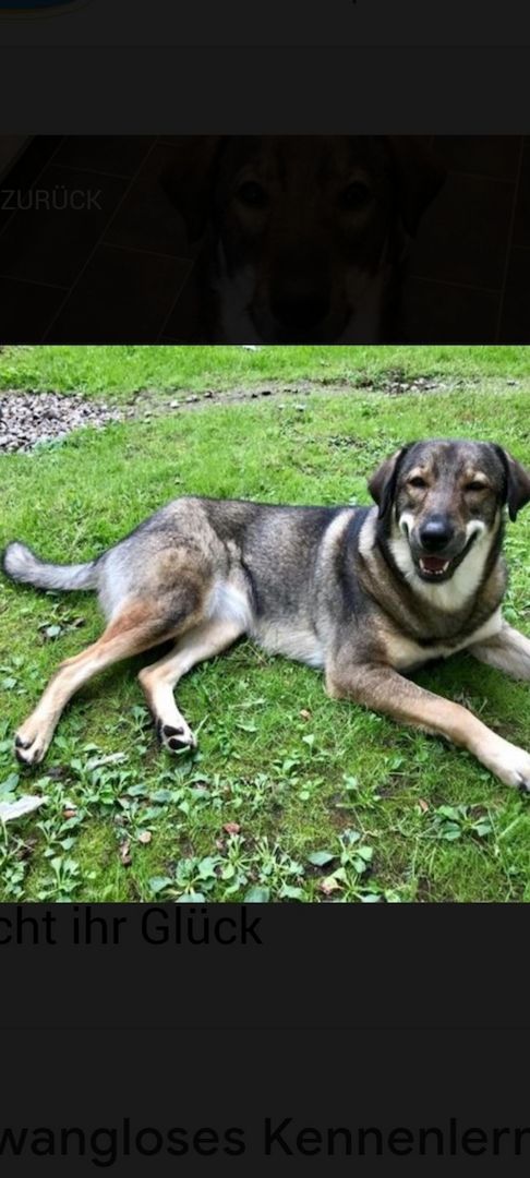 Die wunderschöne Lazarica möchte glücklich sein