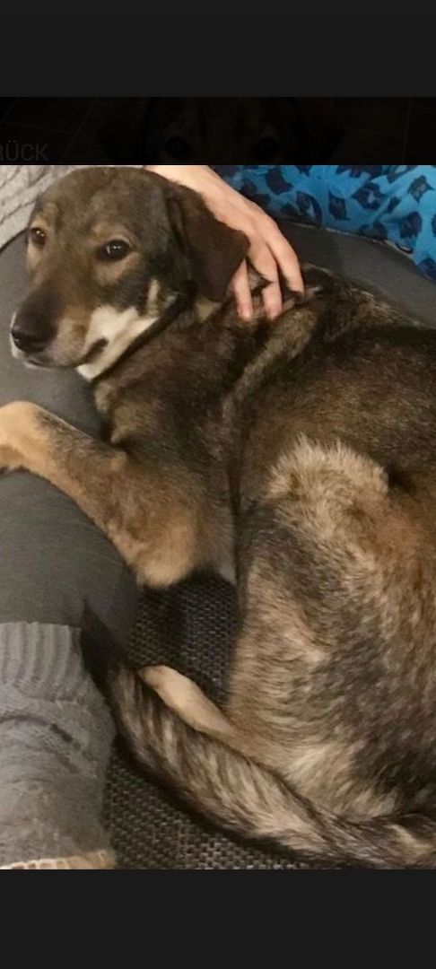 Die wunderschöne Lazarica möchte glücklich sein