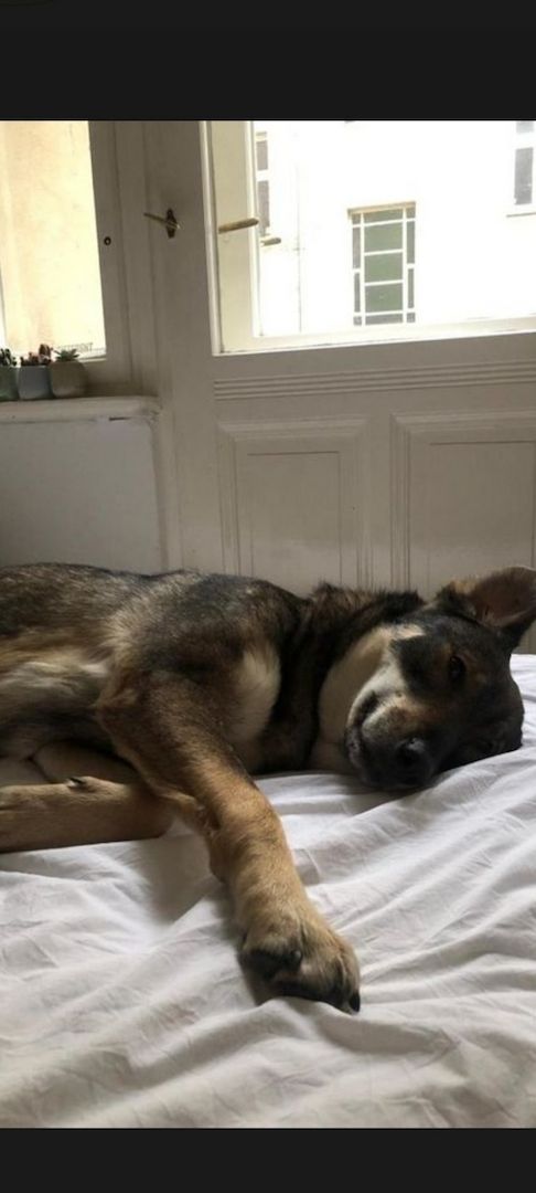 Die wunderschöne Lazarica möchte glücklich sein