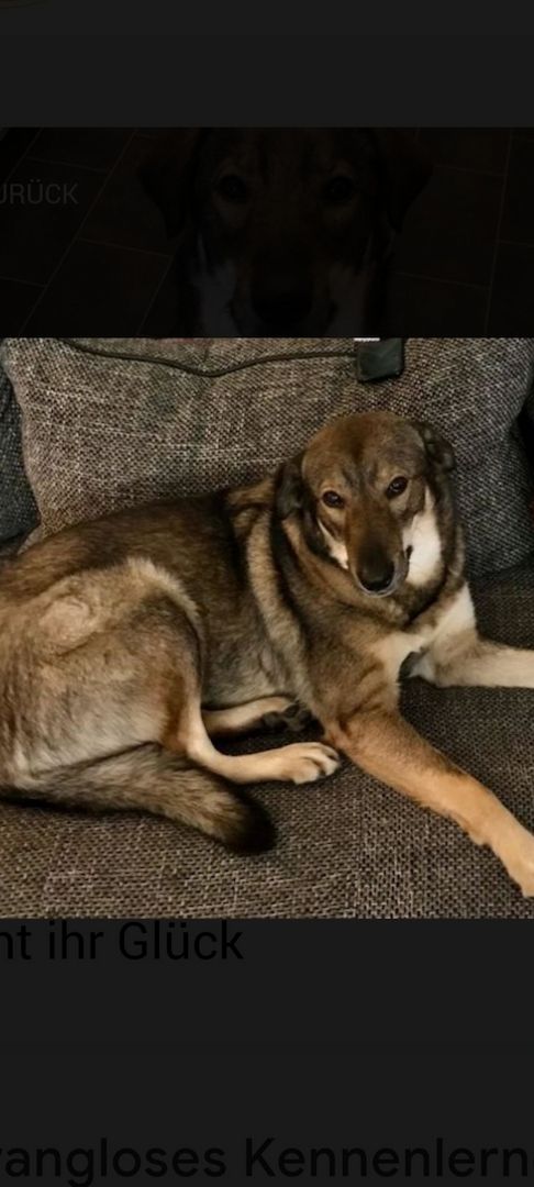 Die wunderschöne Lazarica möchte glücklich sein