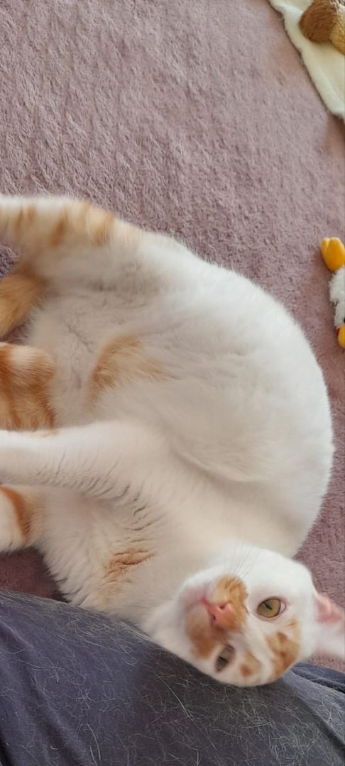 Traumpaar Mini und Robin