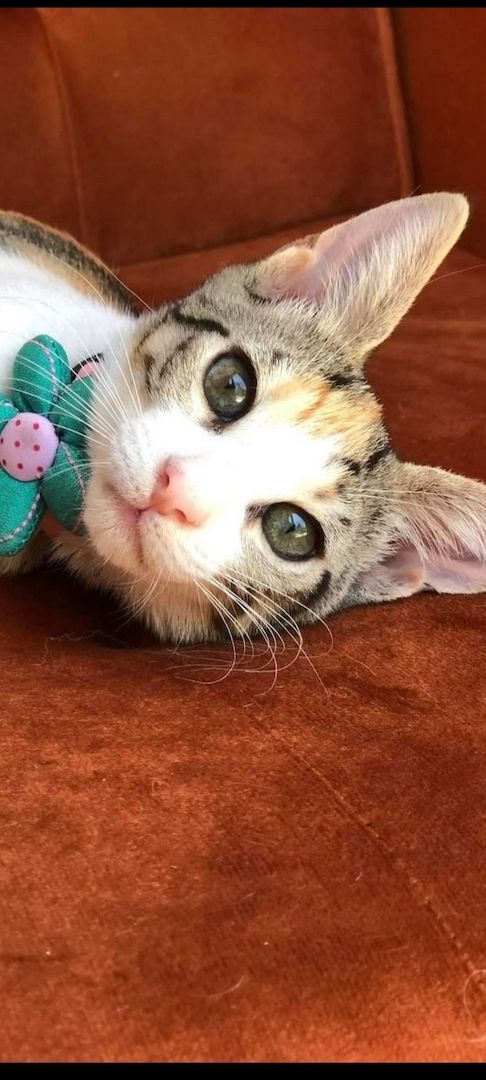 Traumpaar Mini und Robin