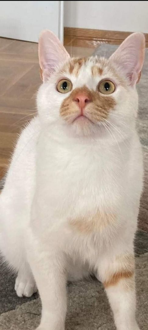 Traumpaar Mini und Robin