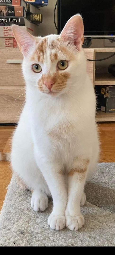 Traumpaar Mini und Robin