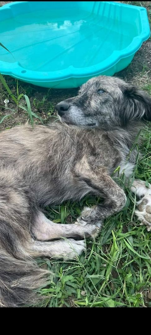 Die wunderschöne umwerfenden Linda