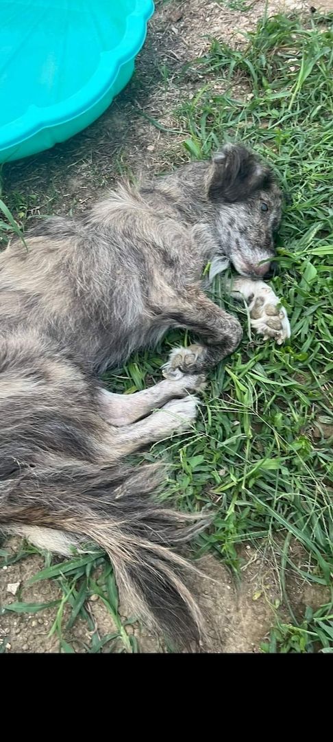 Die wunderschöne umwerfenden Linda