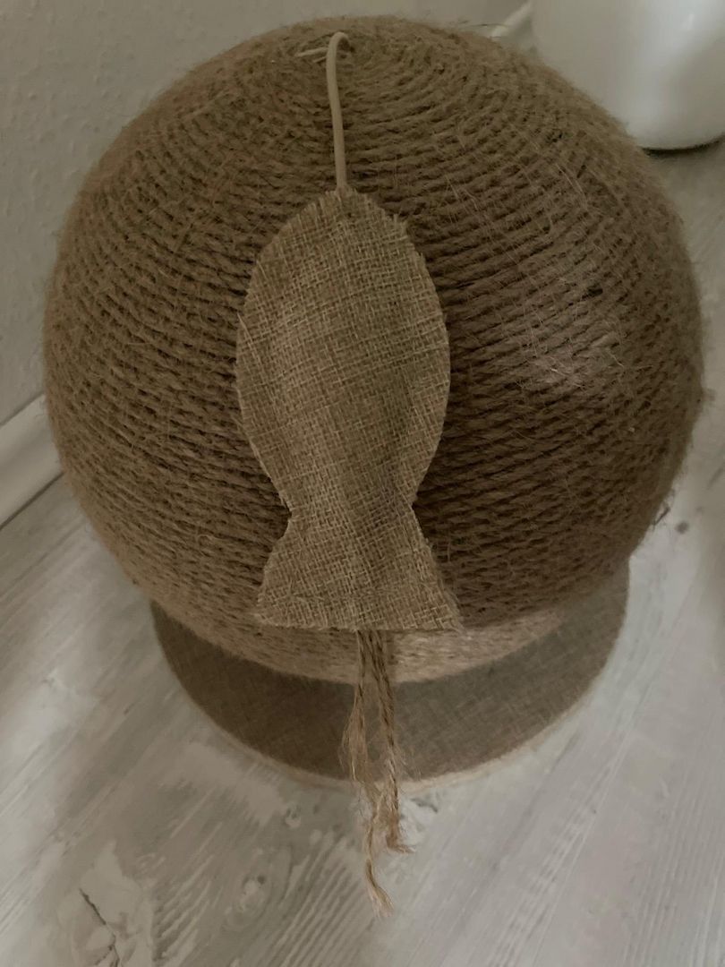 Bkh Kater Kitten 15 Wochen alt Brüder