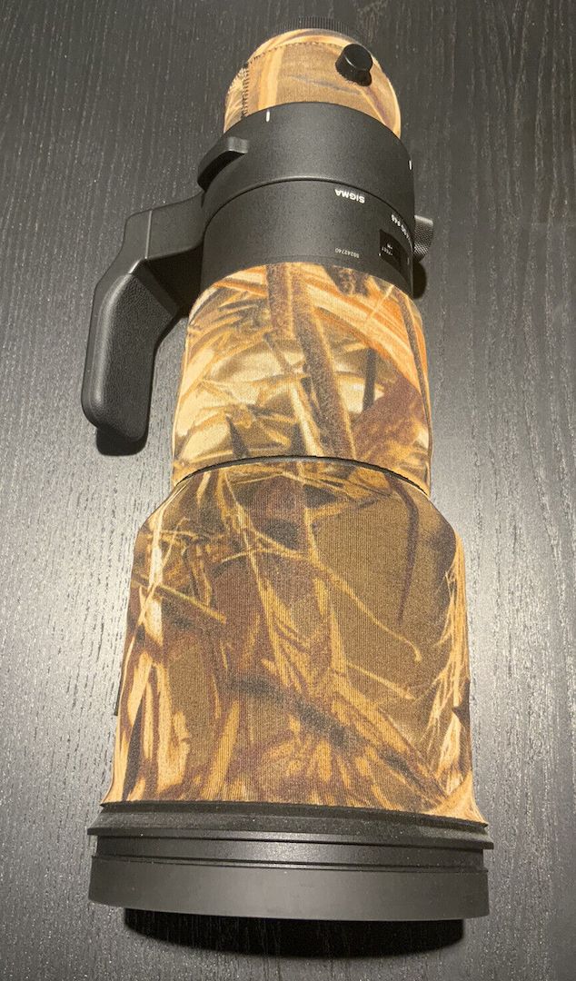 Sigma 500/4 Sports Für Canon