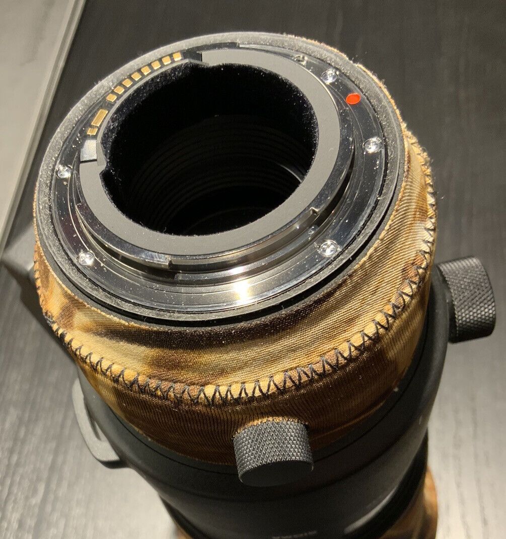 Sigma 500/4 Sports Für Canon