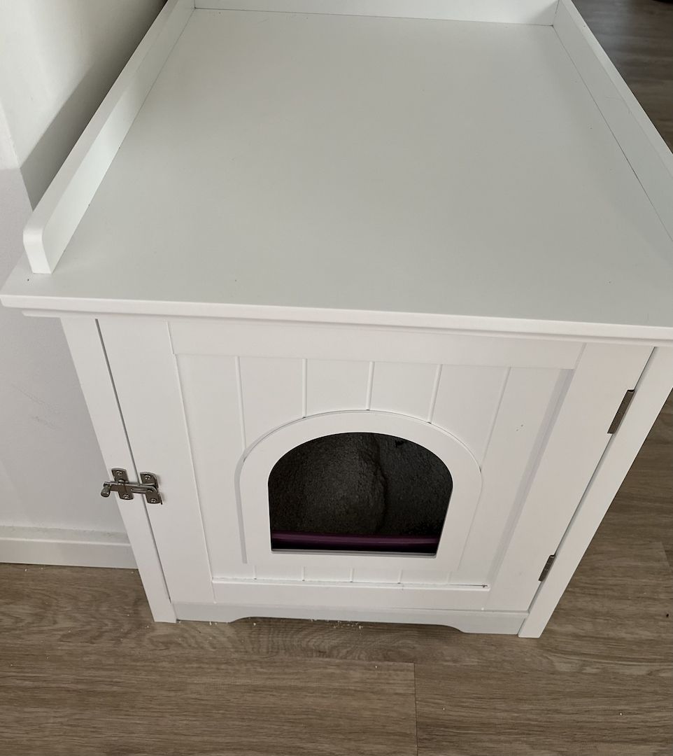 Katzen abzugeben mit Zubehör