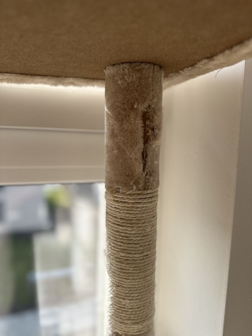 Katzen abzugeben mit Zubehör