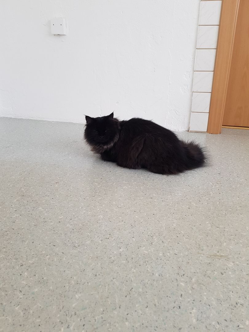 Herzensbrecher Herzensbrecher