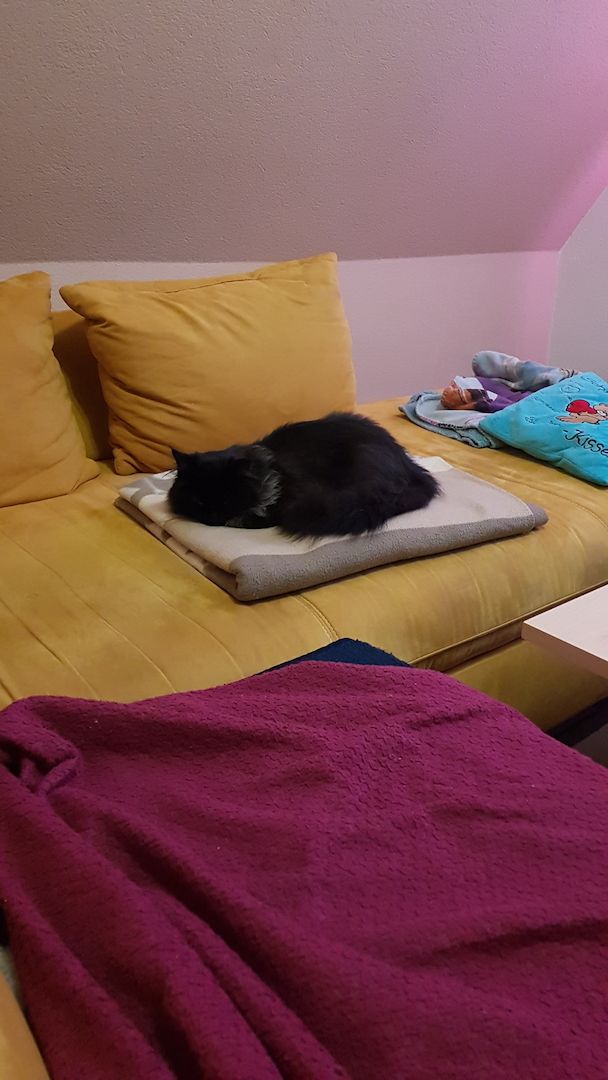 Herzensbrecher Herzensbrecher