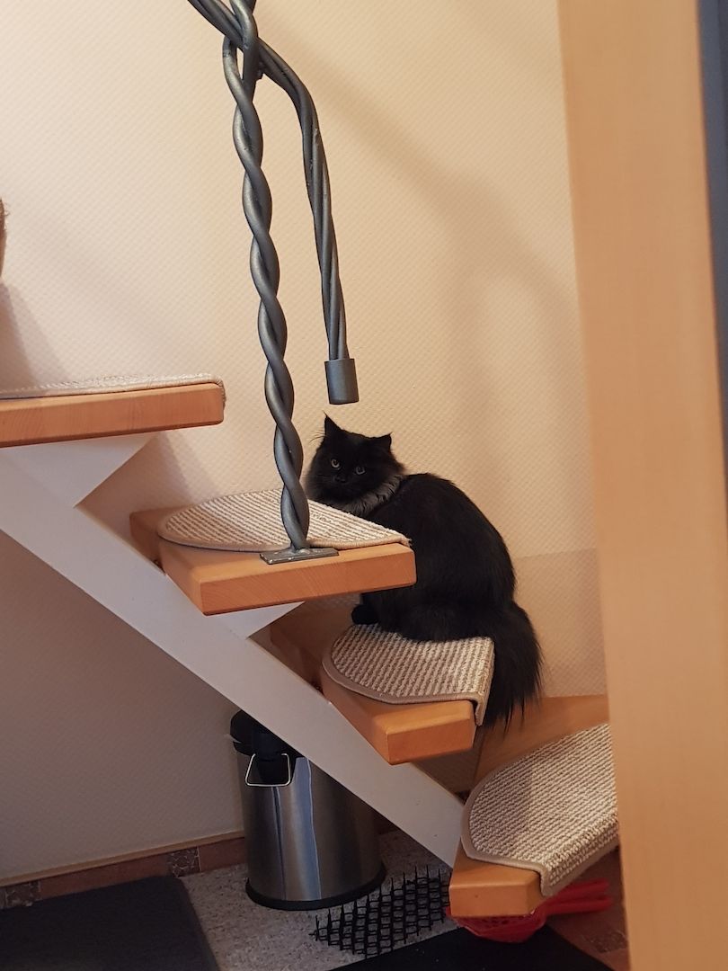 Herzensbrecher Herzensbrecher