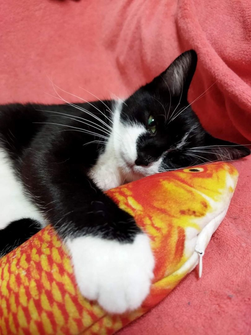 Yin & Zelia Yin & Zelia