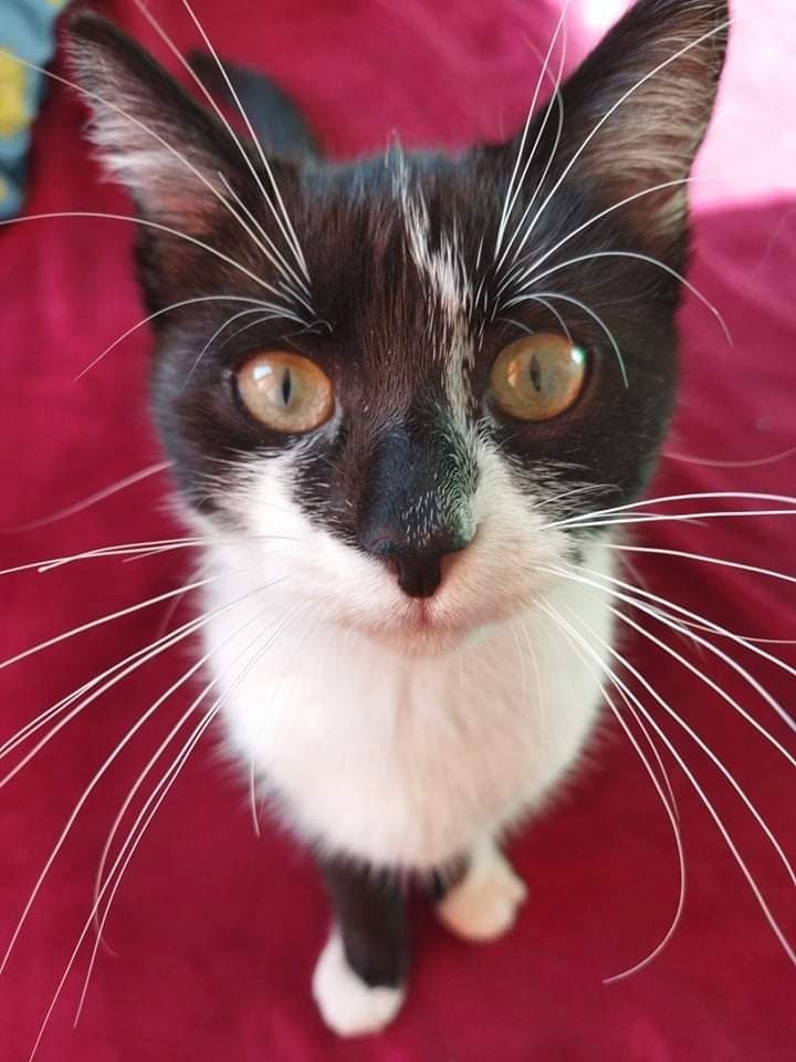 Yin & Zelia Yin & Zelia