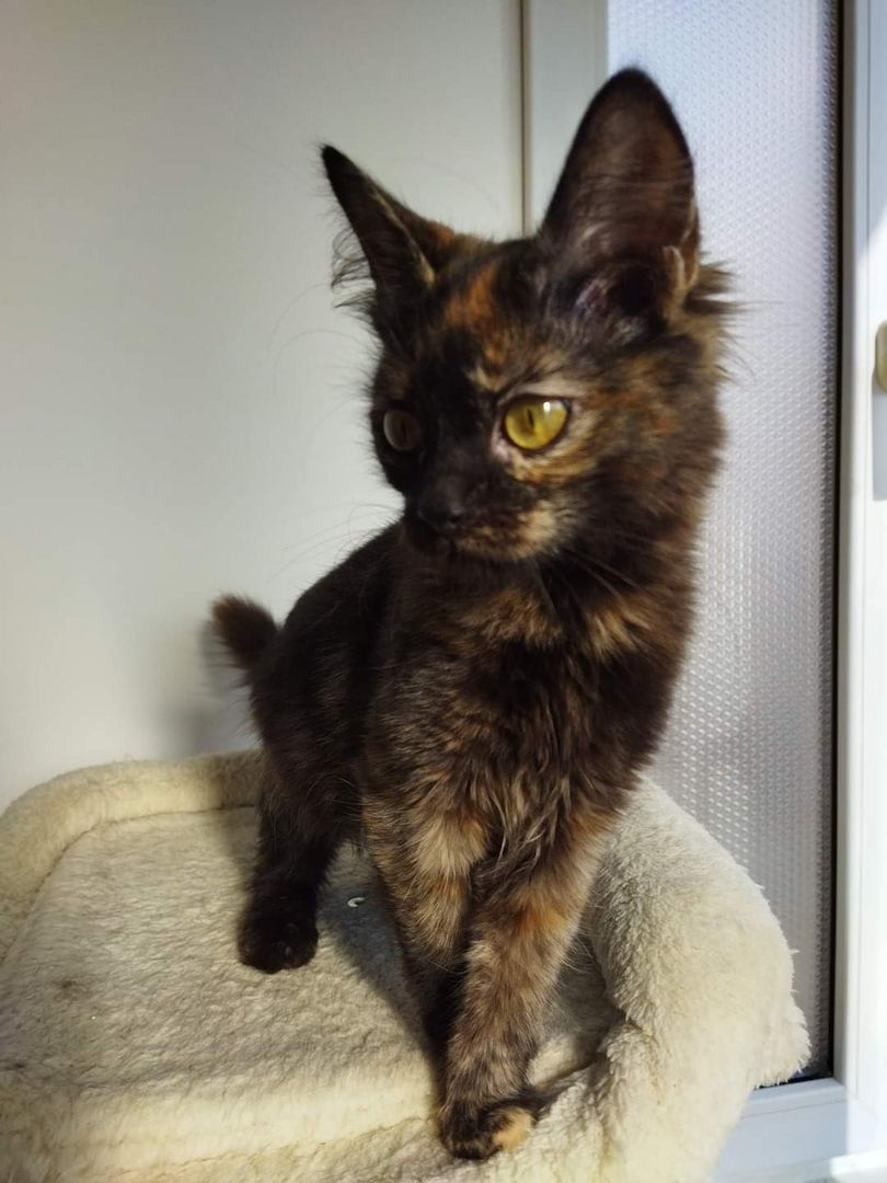 Yin & Zelia Yin & Zelia