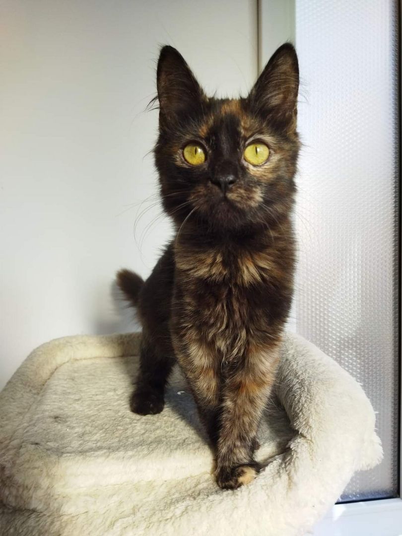 Yin & Zelia Yin & Zelia