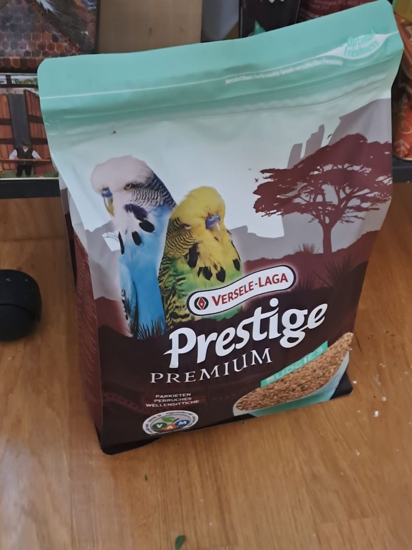 5 Wellensittiche mit Madeira 1 käfig