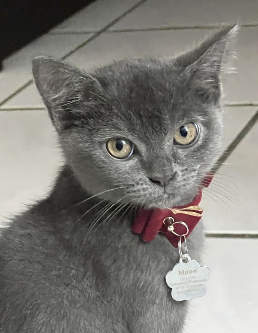 Mama und Sohn suchen suchen ein neues Zuhause.